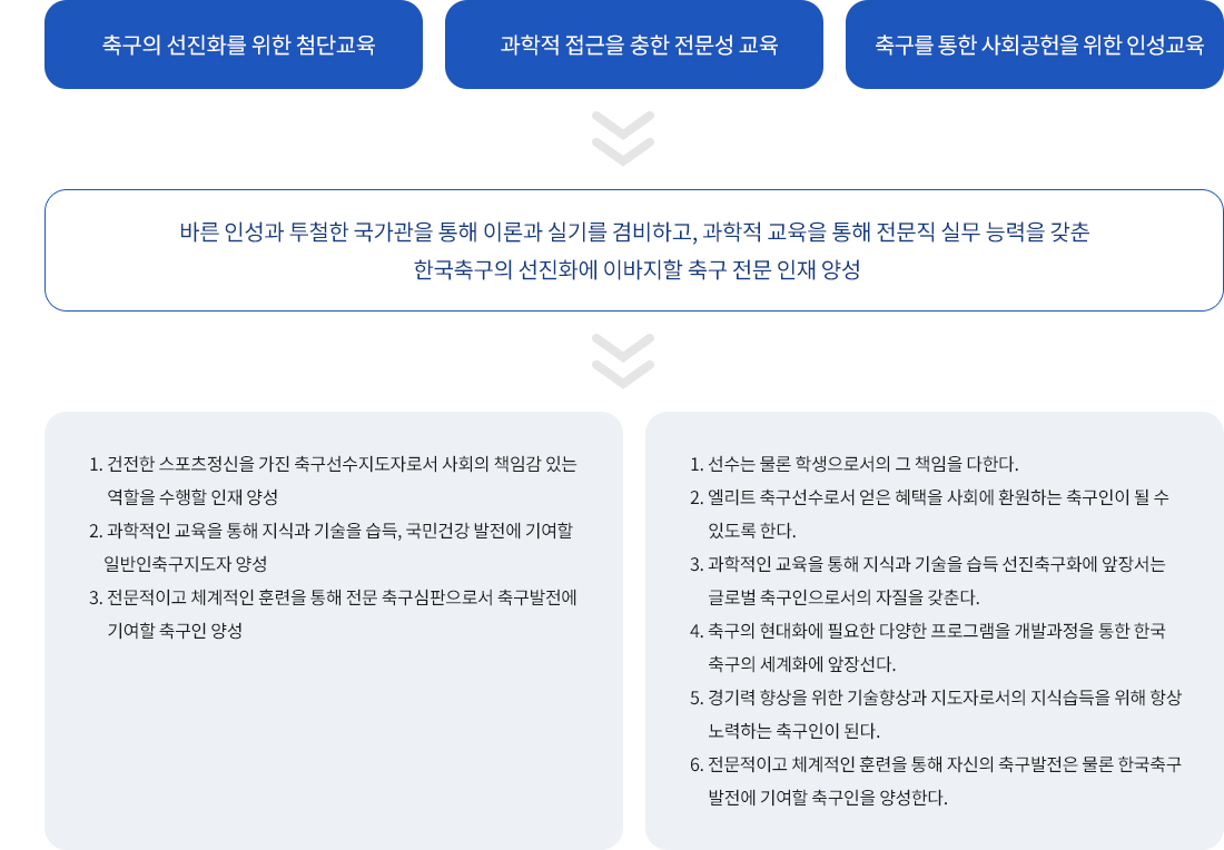 스포츠재활과 교육체계